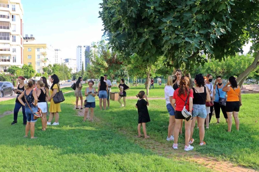 Antalya’da Köpek Ve Kedi Zehirlenmeleri Hayvanseverleri Ayaklandırdı