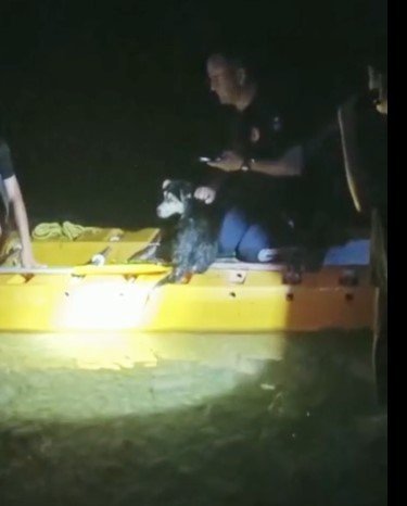 Irmakta Mahsur Kalan Köpeğe İtfaiyeden Kanoyla Kurtarma