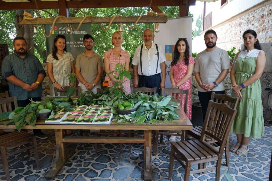 Akademisyenler Avokadonun Kitabını Yazdı