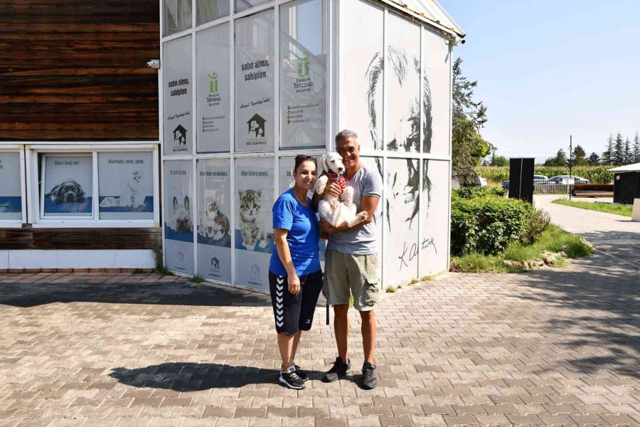 12 Bin 60 Can Sıcak Bir Yuvaya Kavuştu