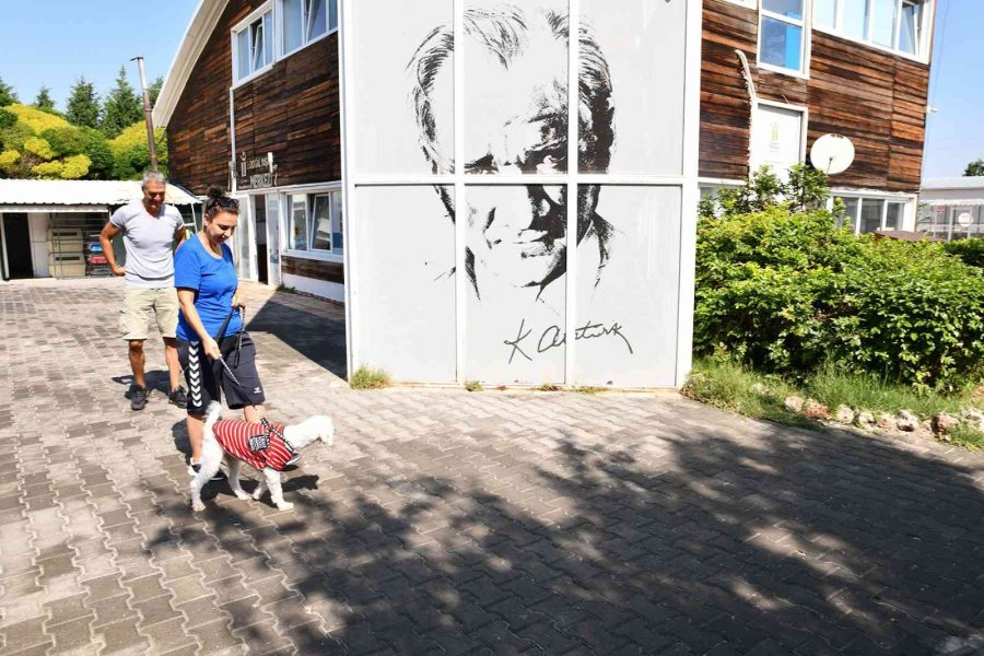 12 Bin 60 Can Sıcak Bir Yuvaya Kavuştu