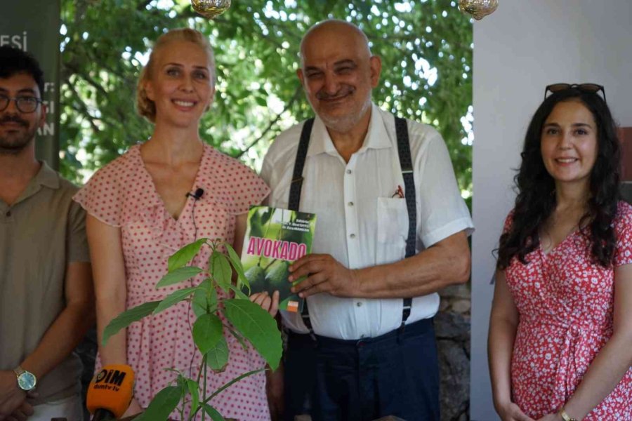 Akademisyenler Avokadonun Kitabını Yazdı