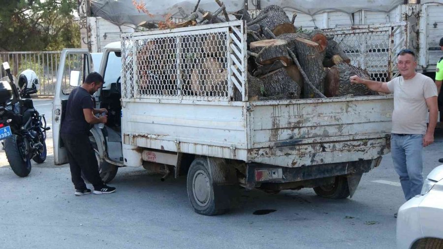 Manavgat’ta Kaçak Kesime Geçit Yok