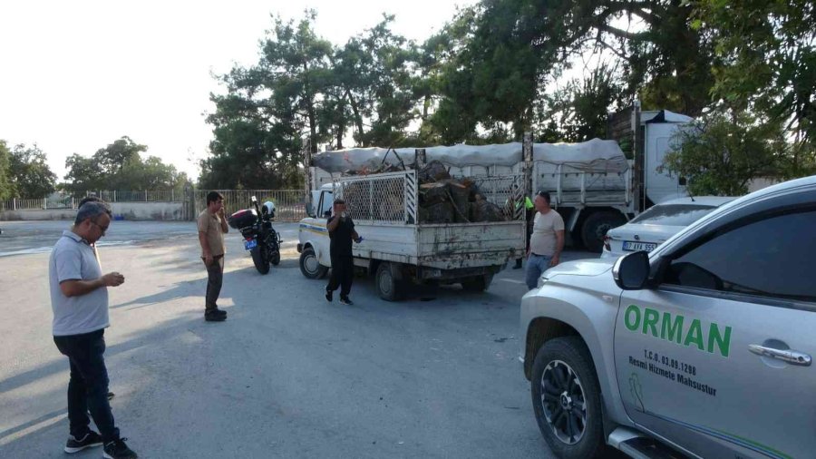 Manavgat’ta Kaçak Kesime Geçit Yok