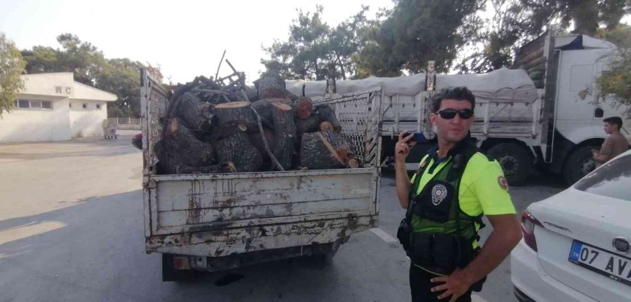 Manavgat’ta Kaçak Kesime Geçit Yok