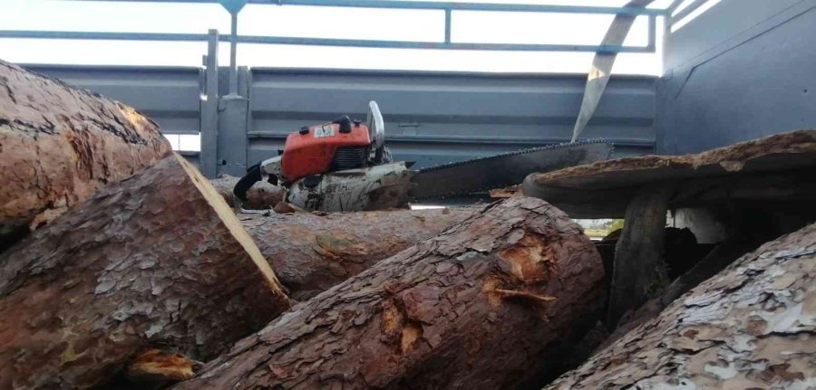 Manavgat’ta Kaçak Kesime Geçit Yok