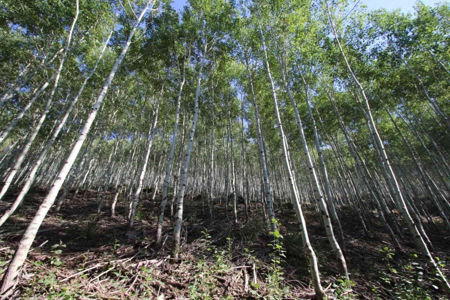 Hacılar Ortaseki, Doğaseverleri Bekliyor