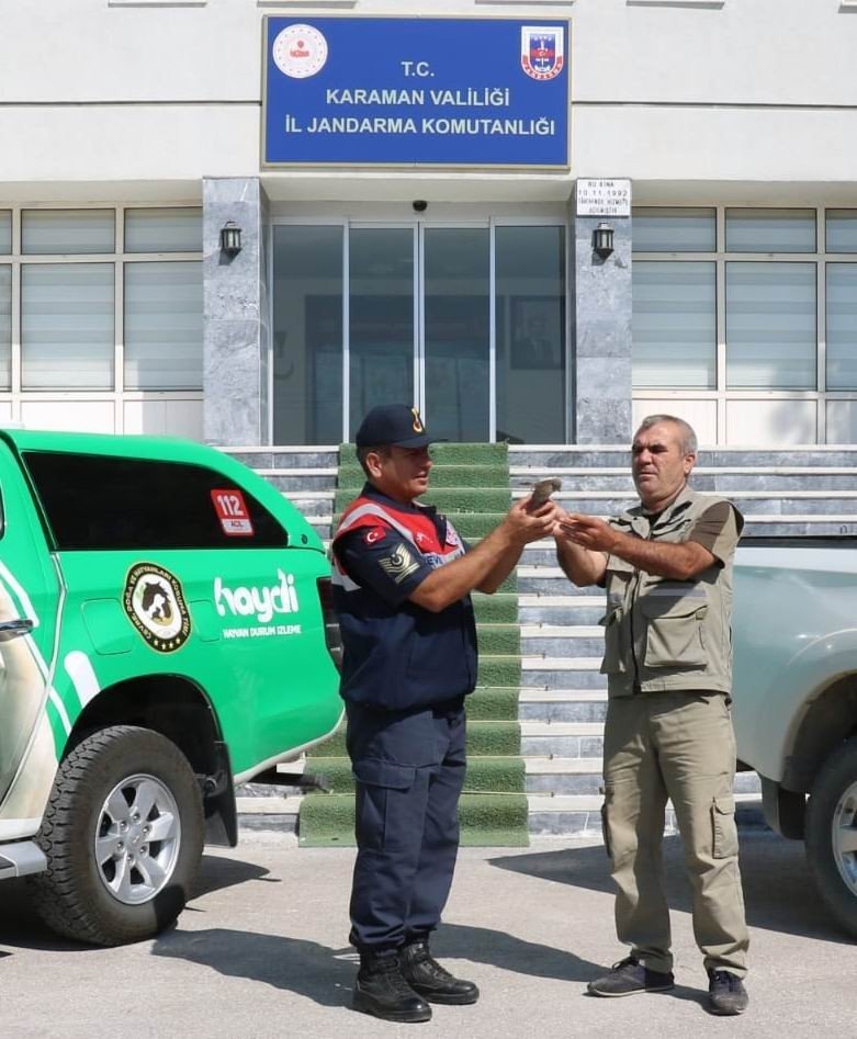 Jandarmanın Uçamaz Halde Bulduğu Yavru Benekli Sinekkapan Kuşu Koruma Altına Alındı