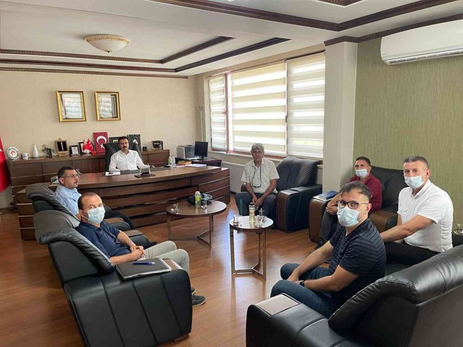 Mut’ta Kayısı Islah Ve Adaptasyon Çalışmaları Yapılacak