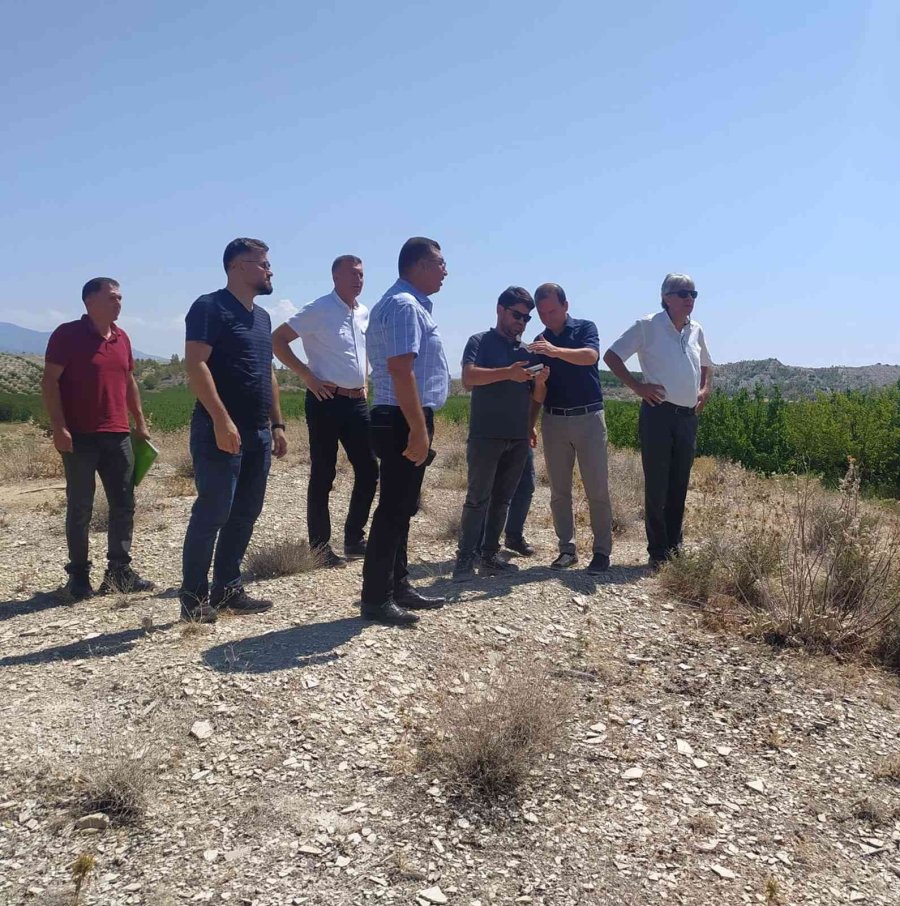 Mut’ta Kayısı Islah Ve Adaptasyon Çalışmaları Yapılacak