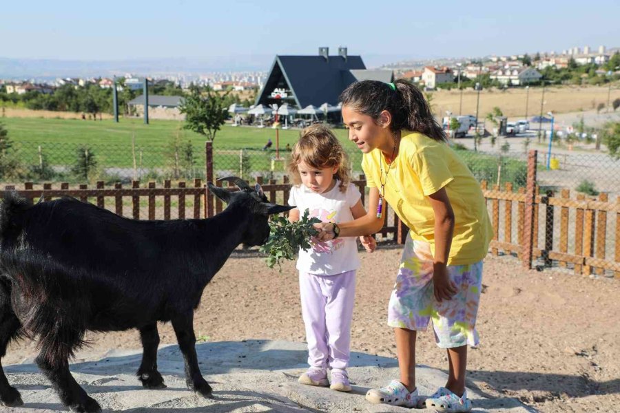 Çocuklara ’360 Mini Çiftlik’te Hayvan Sevgisi Aşılanıyor