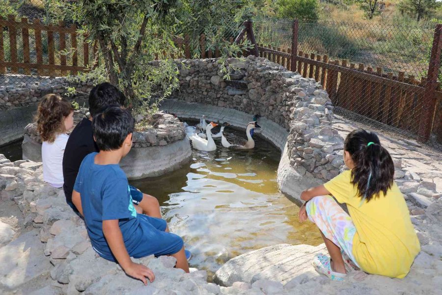 Çocuklara ’360 Mini Çiftlik’te Hayvan Sevgisi Aşılanıyor