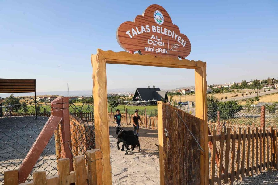 Çocuklara ’360 Mini Çiftlik’te Hayvan Sevgisi Aşılanıyor