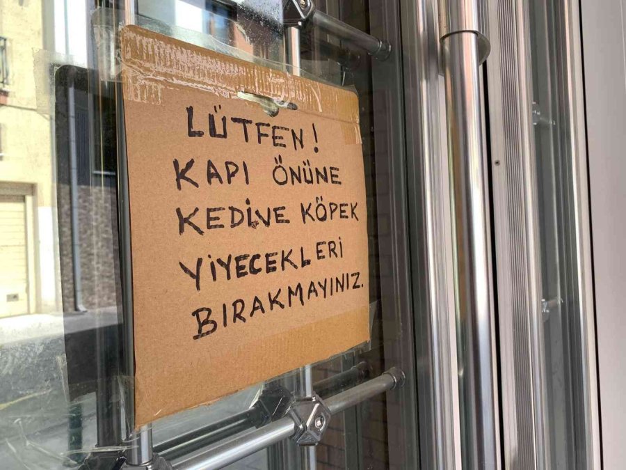 Sokak Hayvanları İçin Gelişigüzel Bırakılan Yiyecek Artıkları ‘pes’ Dedirtti