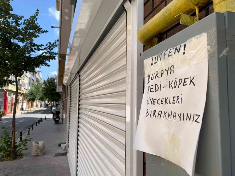Sokak Hayvanları İçin Gelişigüzel Bırakılan Yiyecek Artıkları ‘pes’ Dedirtti