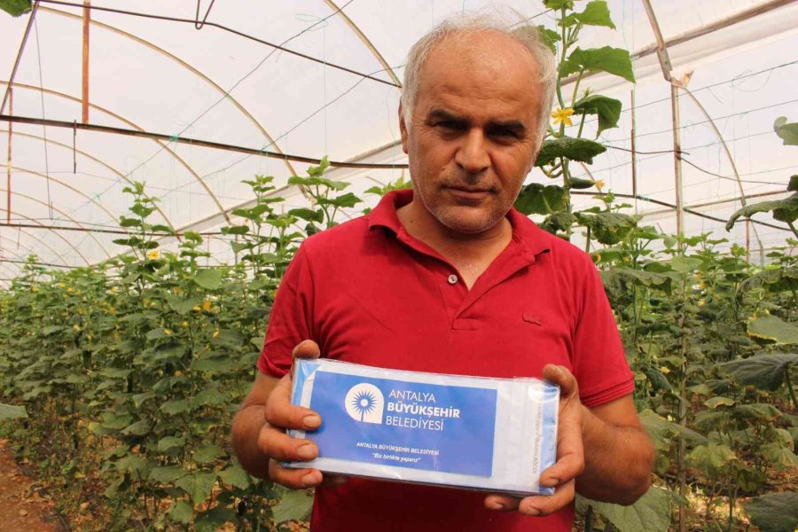 Elmalı’da Çiftçiye 10 Bin Adet Yapışkan Tuzak Dağıtıldı