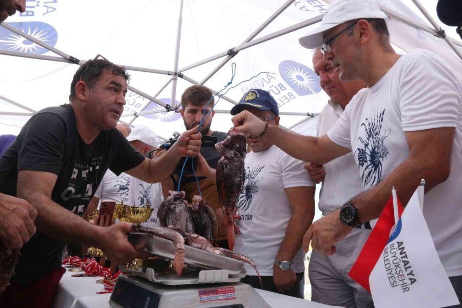 Zehirli Aslan Balığını Yakalamak İçin Yarıştılar, Tuttuklarını Izgarada Pişirip Yediler