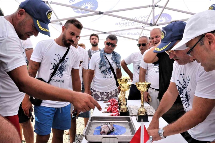 Zehirli Aslan Balığını Yakalamak İçin Yarıştılar, Tuttuklarını Izgarada Pişirip Yediler