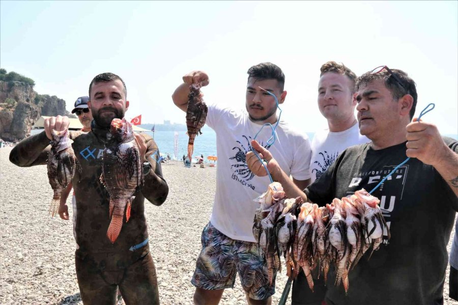 Zehirli Aslan Balığını Yakalamak İçin Yarıştılar, Tuttuklarını Izgarada Pişirip Yediler