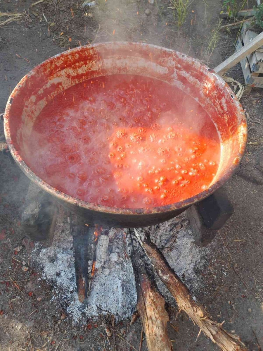Laçin’de Domates Ve Biberlerin Salça Yolculuğu Başladı