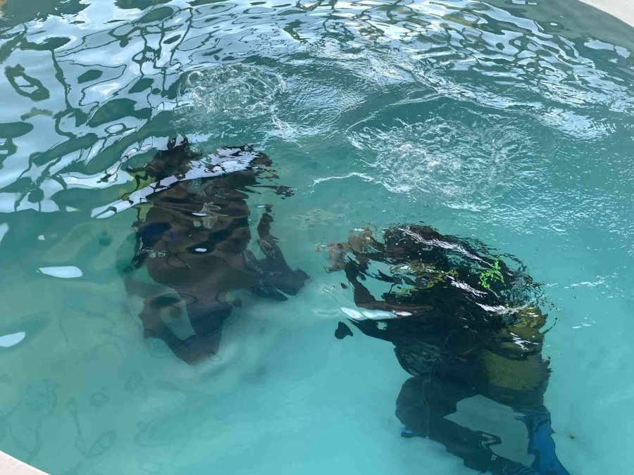 Türkiye’de Tek ’denizsiz Dalış’ Eğitimi