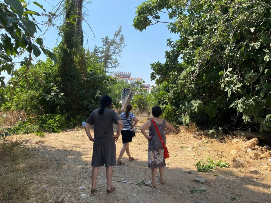 Antalya’da 20 Köpeğin Zehirlendiği İhbarı