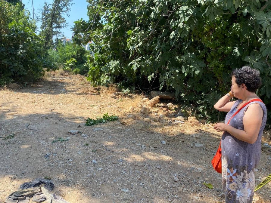 Antalya’da 20 Köpeğin Zehirlendiği İhbarı