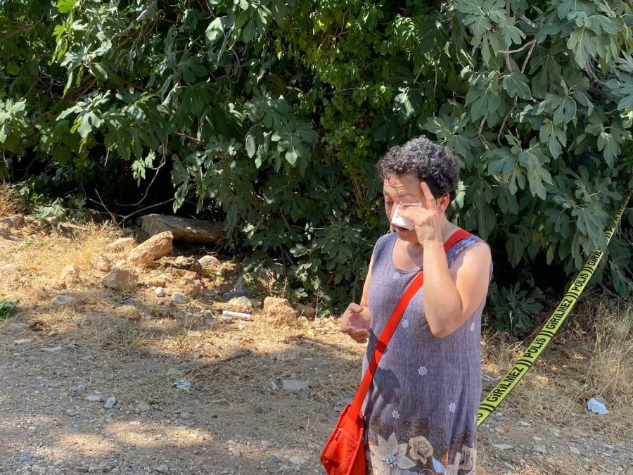 Antalya’da 20 Köpeğin Zehirlendiği İhbarı