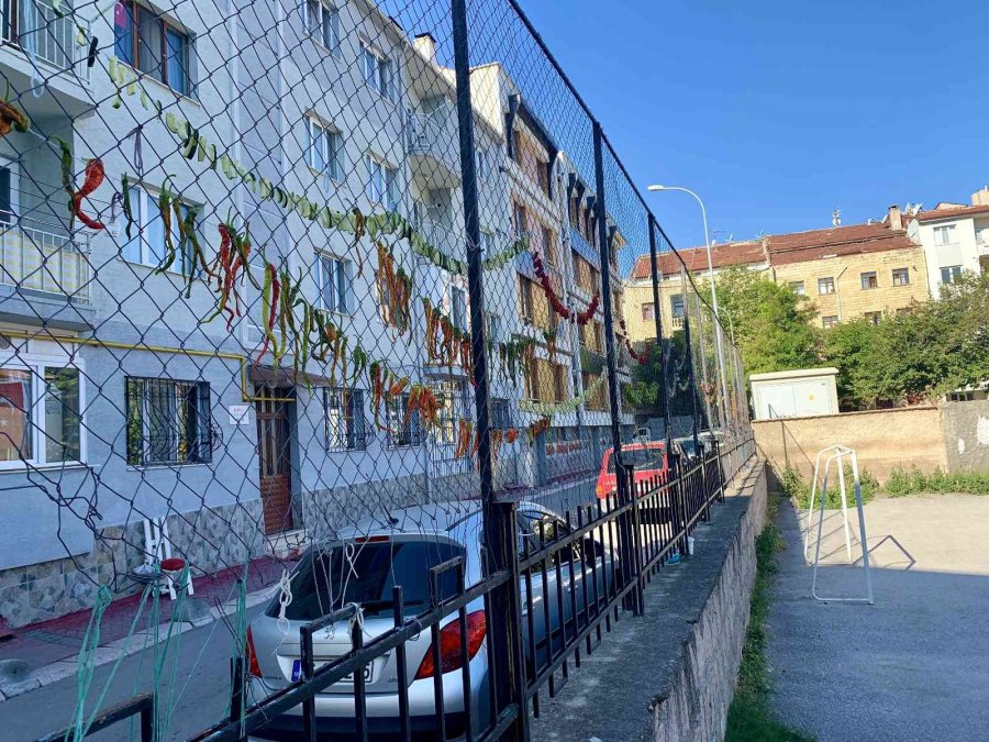 Okul Demirlerinde Sebze Kurutuyorlar