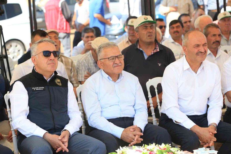 Başkan Büyükkılıç, Felahiye’de Nohut Hasadı Yaptı