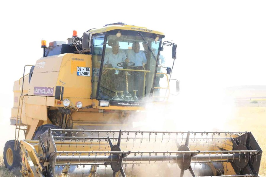 Başkan Büyükkılıç, Felahiye’de Nohut Hasadı Yaptı