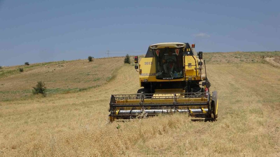 Çiftçiler Yağan Yağmurlardan Memnun