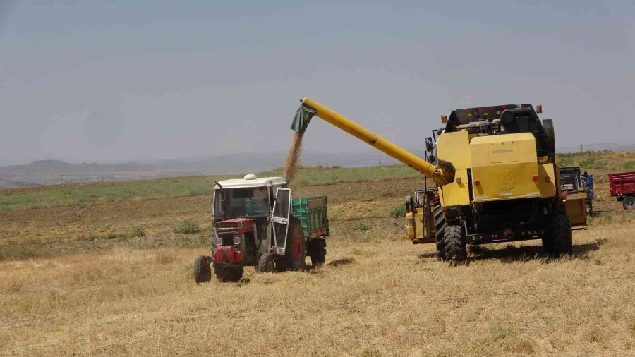 Çiftçiler Yağan Yağmurlardan Memnun