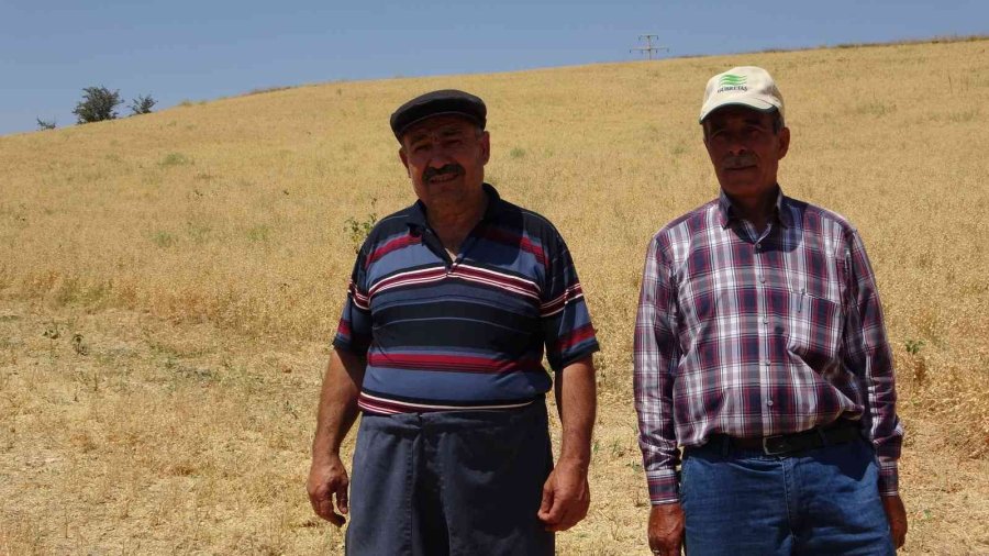 Çiftçiler Yağan Yağmurlardan Memnun