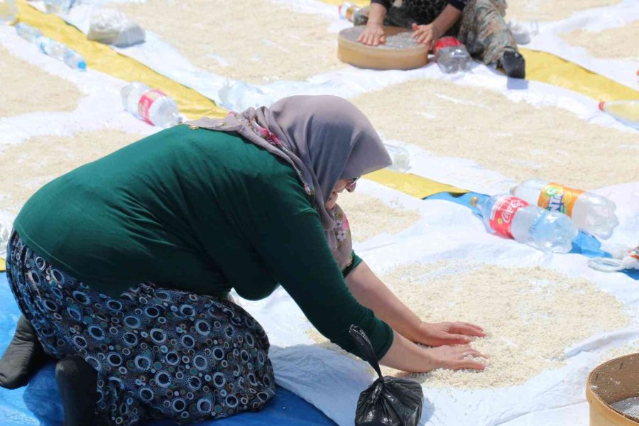 Kırka’da Yöresel Tarhana Telaşı Başladı