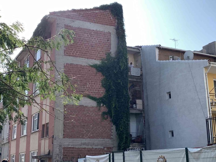 Sarmaşıklar 4 Katlı Binanın Çatısına Kadar Uzandı