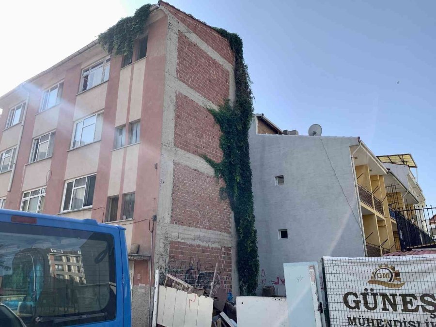 Sarmaşıklar 4 Katlı Binanın Çatısına Kadar Uzandı