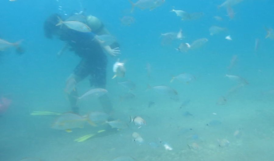 Bakanlığın Av Yasağı Kararı, Akdeniz’de Meyvelerini Verdi
