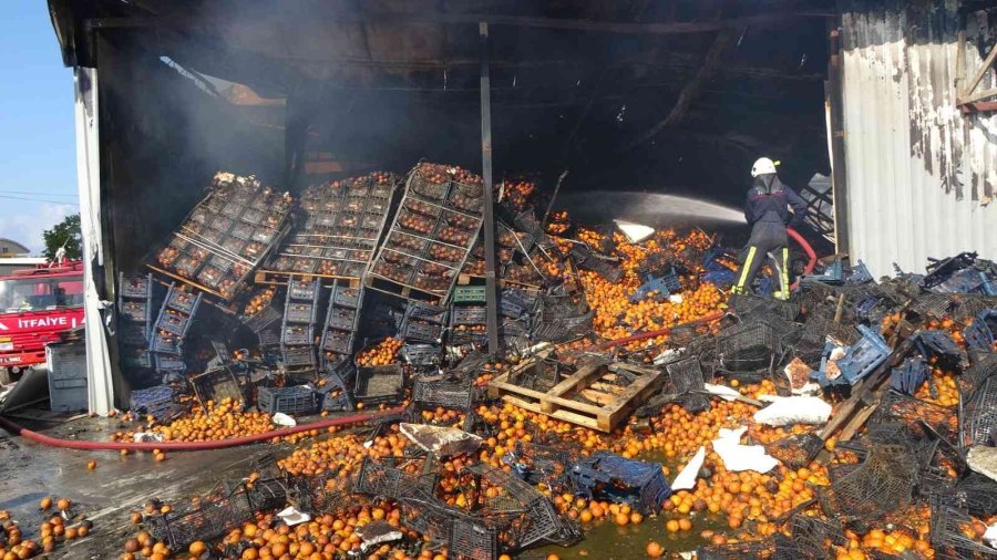 Soğuk Hava Deposundaki Yangında 9 Daire Ve 100 Ton Portakal Zarar Gördü