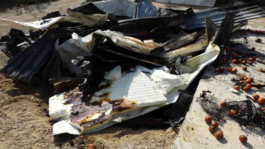 Soğuk Hava Deposundaki Yangında 9 Daire Ve 100 Ton Portakal Zarar Gördü