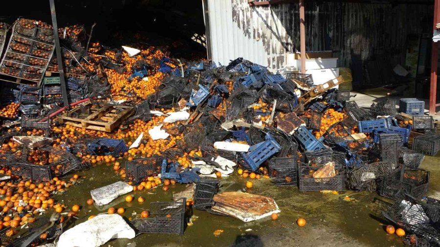 Soğuk Hava Deposundaki Yangında 9 Daire Ve 100 Ton Portakal Zarar Gördü