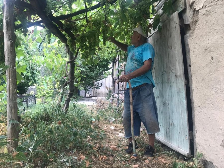 Bahçesindeki Bitkilerle Her Gün Yaklaşık 10 Saat İlgileniyor