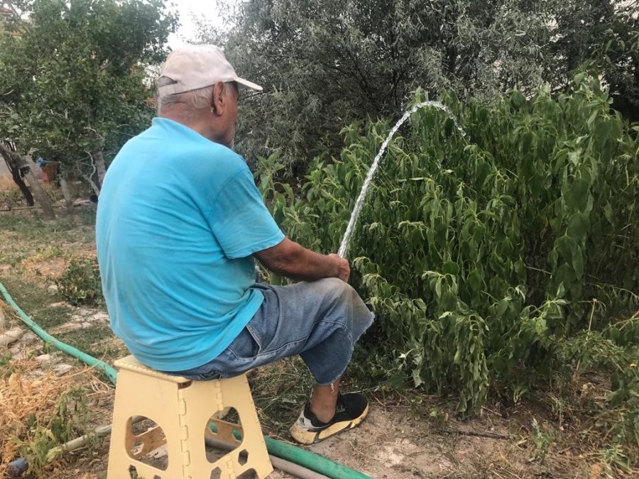 Bahçesindeki Bitkilerle Her Gün Yaklaşık 10 Saat İlgileniyor