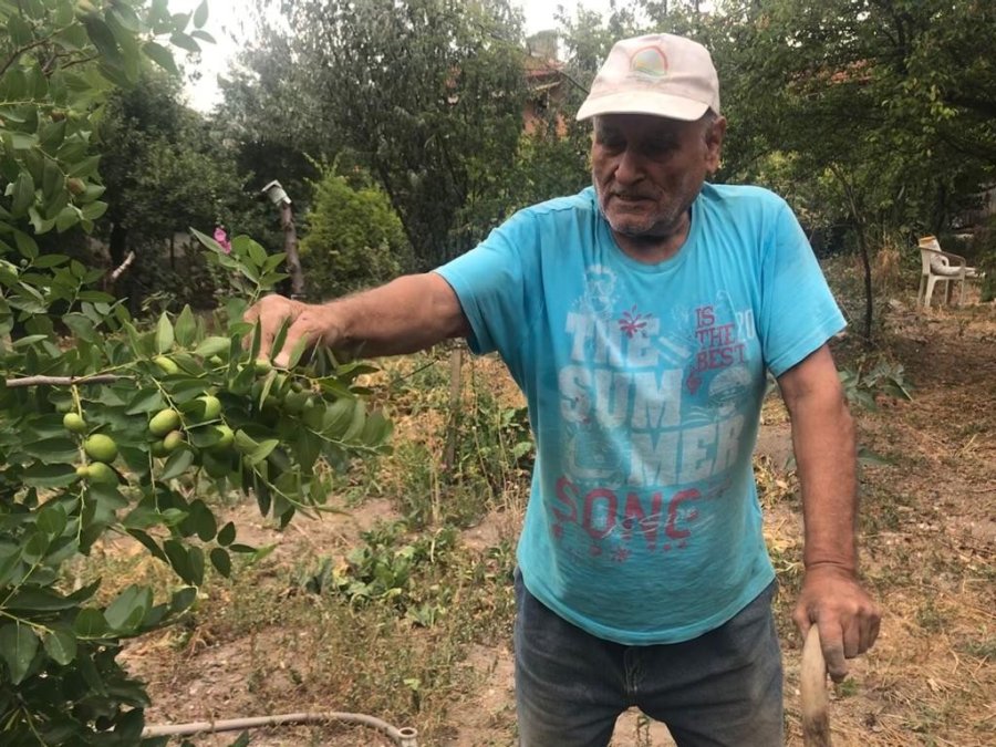 Bahçesindeki Bitkilerle Her Gün Yaklaşık 10 Saat İlgileniyor