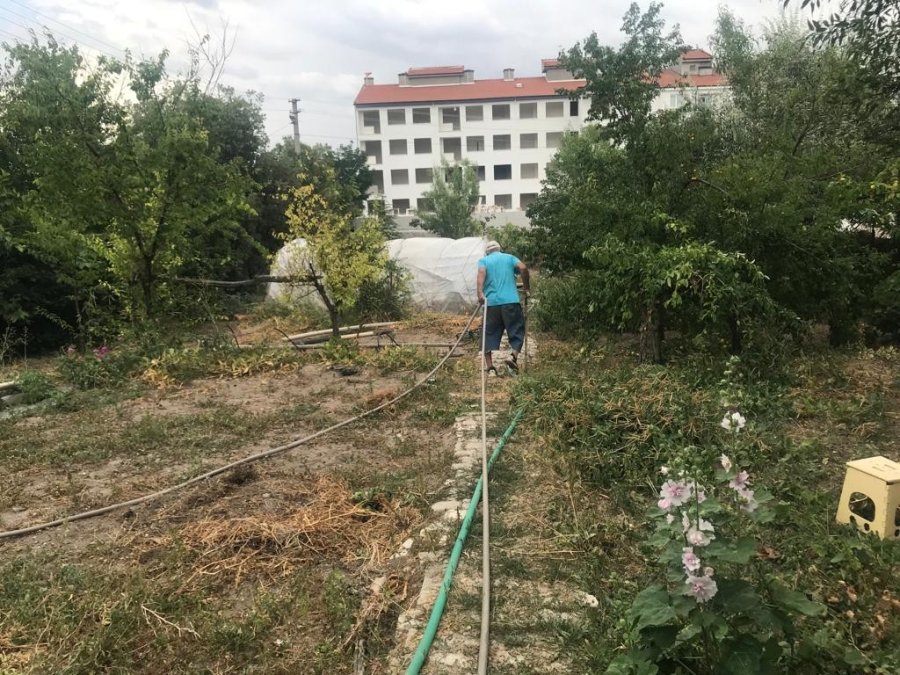 Bahçesindeki Bitkilerle Her Gün Yaklaşık 10 Saat İlgileniyor