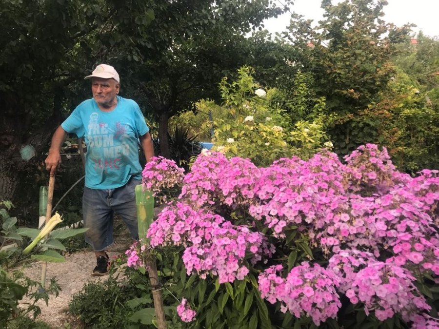 Bahçesindeki Bitkilerle Her Gün Yaklaşık 10 Saat İlgileniyor