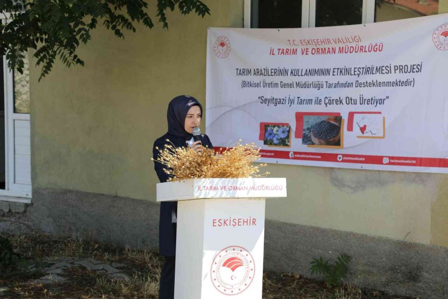 Eskişehir’de ‘iyi Tarım Sertifikalı’ Çörekotu Üretildi