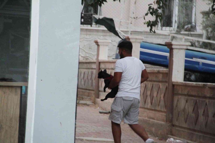 Çatıdaki Eyleminden Köpeklerine Kavuşunca Vazgeçti