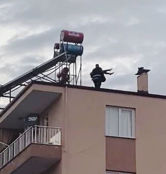 Çatıdaki Eyleminden Köpeklerine Kavuşunca Vazgeçti