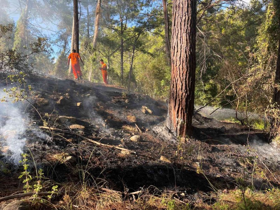 Alanya’daki Orman Yangını Hızlı Müdahaleyle Büyümeden Söndürüldü